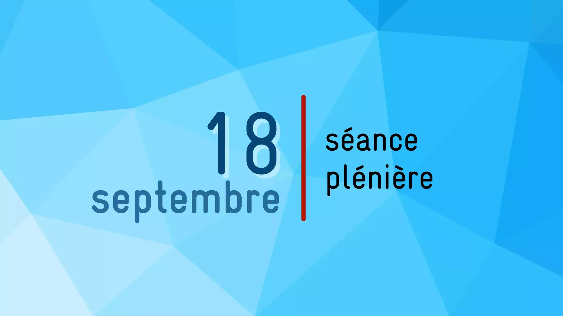 Date de la prochaine séance plénière : 18 septembre 2025
